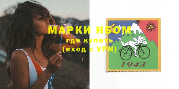 хмурый Аркадак