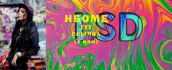 хмурый Аркадак