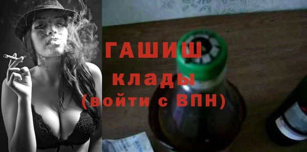 хмурый Аркадак