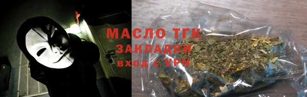 хмурый Аркадак