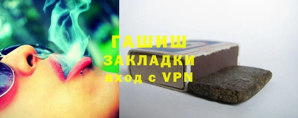 хмурый Аркадак
