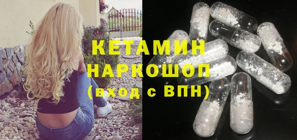 хмурый Аркадак