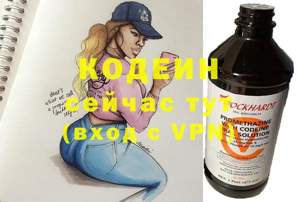 хмурый Аркадак