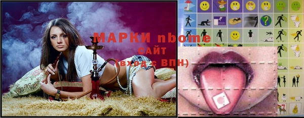 хмурый Аркадак