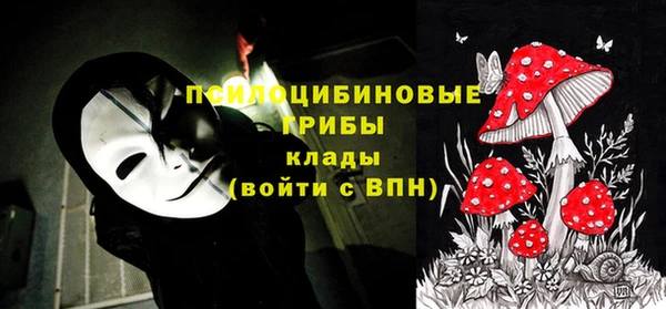 гашик Алзамай
